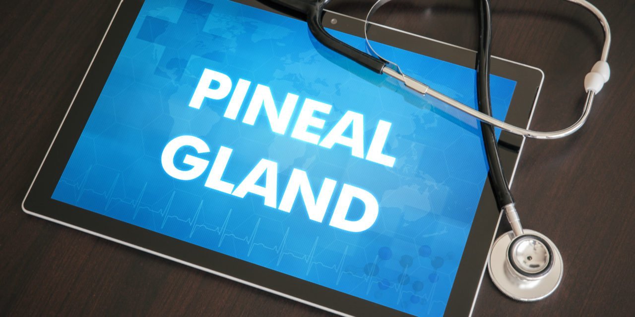 Why PEMF Therapy is Vital for the Pineal Gland