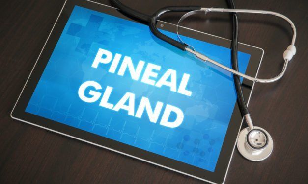 Why PEMF Therapy is Vital for the Pineal Gland