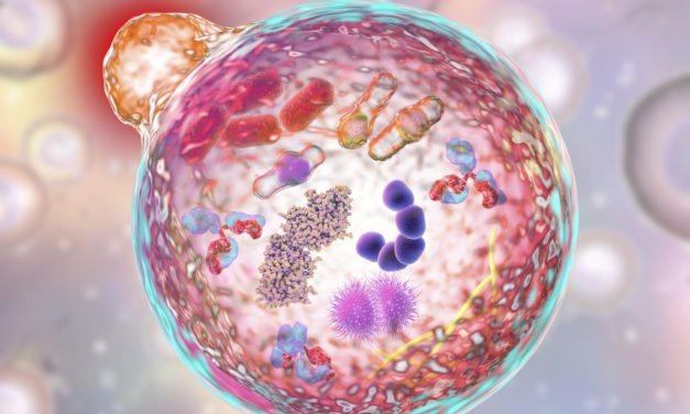 How PEMF Therapy Increases Cellular Metabolism