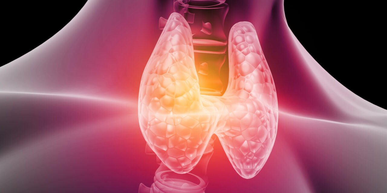 How PEMF Therapy Stimulates Thyroid Function