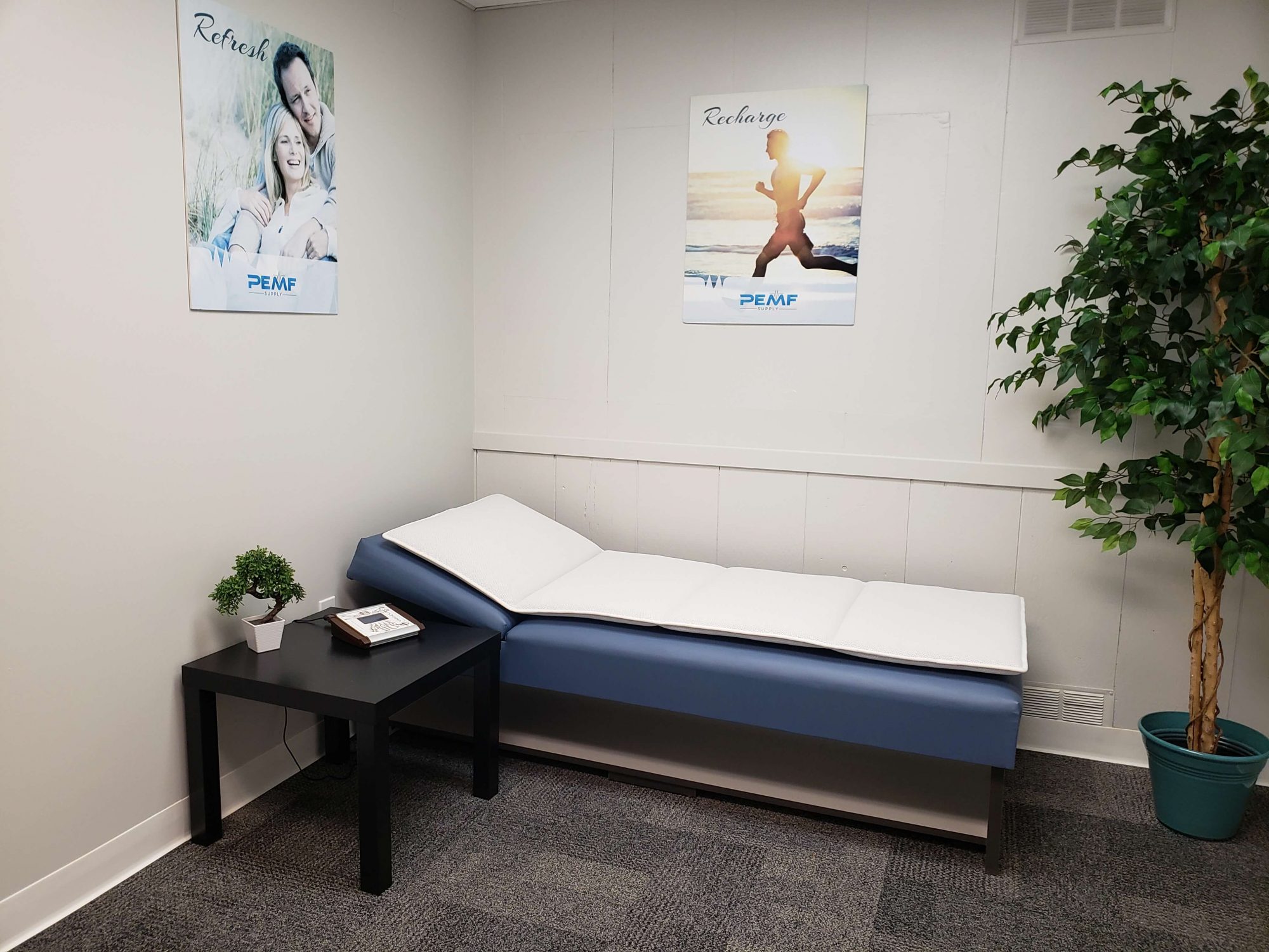 Use a PEMF Therapy Pad for Targeted Therapy PEMF Therapy Education