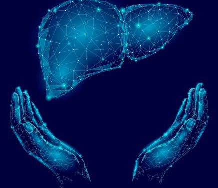 How PEMF Therapy May Heal Inflammation of the Liver