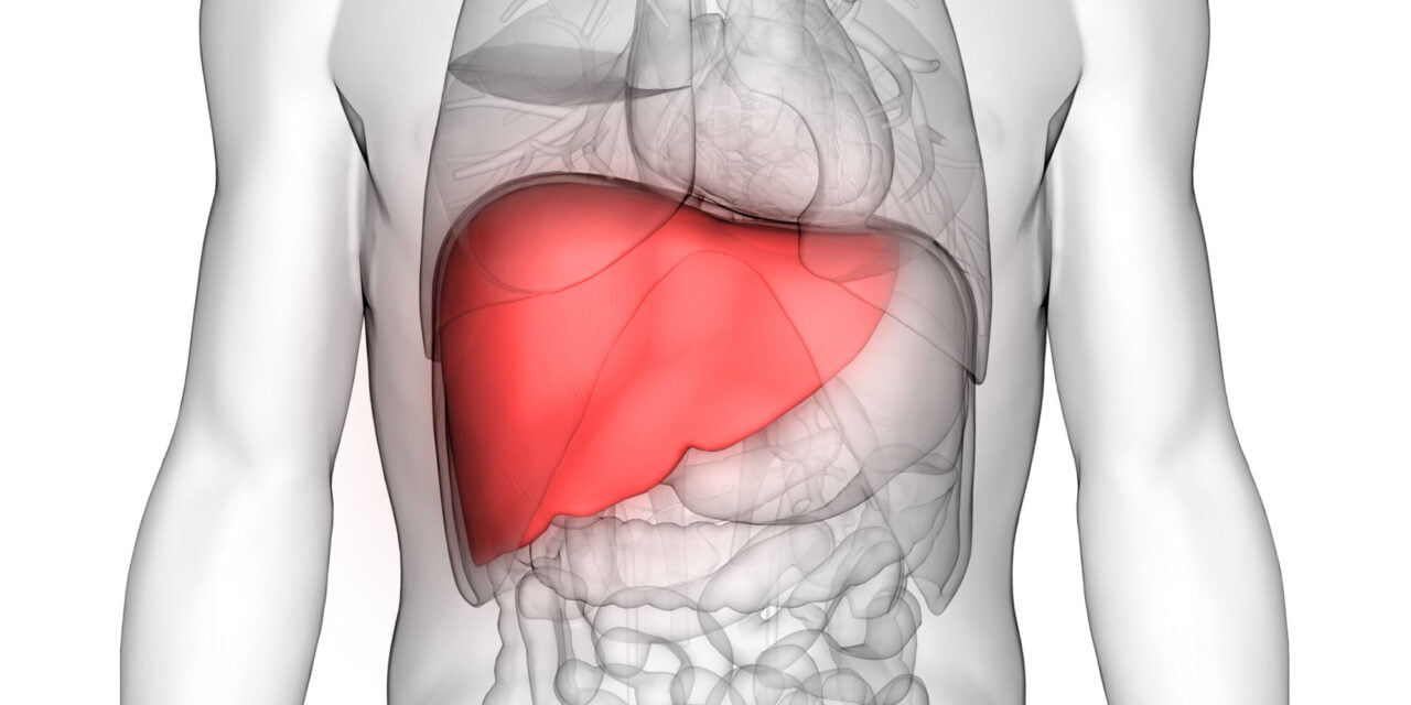 PEMF Therapy Technology May Heal Inflammation of the Liver