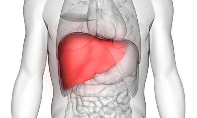 PEMF Therapy Technology May Heal Inflammation of the Liver